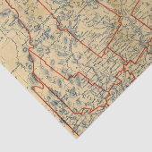 メイン18 薄葉紙 (詳細)