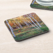 メイン、アカディア国立公園、秋 コースター (左側)