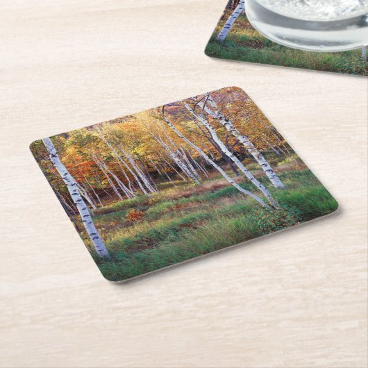 メイン、アカディア国立公園、秋 スクエアペーパーコースター (アングル)