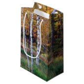 メイン、アカディア国立公園、秋 スモールペーパーバッグ (正面アングル)