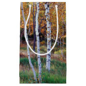 メイン、アカディア国立公園、秋 スモールペーパーバッグ (正面)