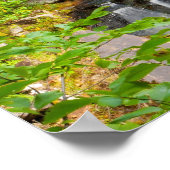 メイン，エバン滝 ポスター (角)