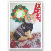 メイン·ガイI シール (正面)