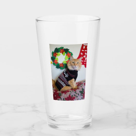 メイン·ガイI タンブラーグラス (正面)