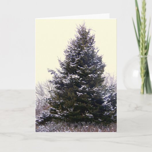 「メイン」グリーティ空白のングカード シーズンカード (正面)