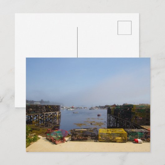 メイン・コレア ポストカード (正面/裏面)