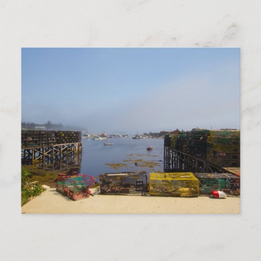 メイン・コレア ポストカード (正面)