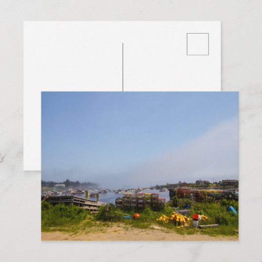 メイン・コレア ポストカード (正面/裏面)