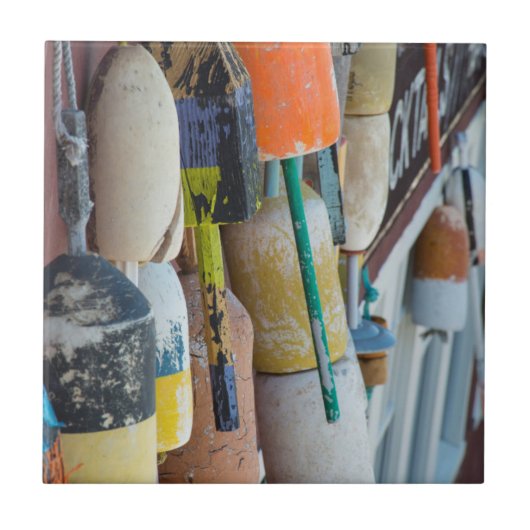 メイン、バーハーバー。カラフルロブスタートラップブイ タイル (正面)