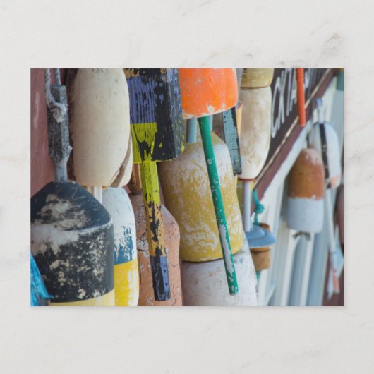 メイン、バーハーバー。カラフルロブスタートラップブイ ポストカード (正面)