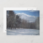 メイン ポストカード (正面/裏面)