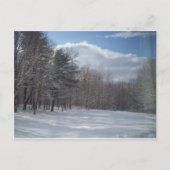 メイン ポストカード (正面)