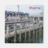 メイン マグネット (正面)