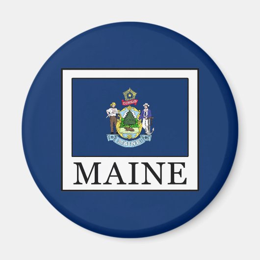 メイン マグネット (正面)