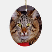 メインCoone猫 セラミックオーナメント (右)