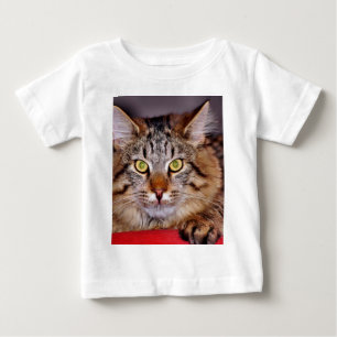 メインCoone猫 ベビーTシャツ