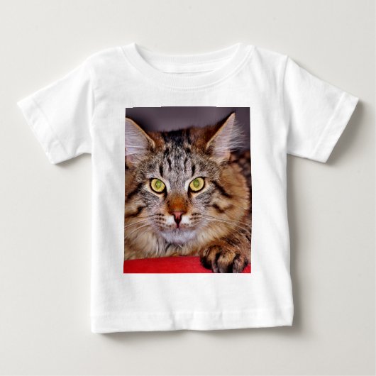 メインCoone猫 ベビーTシャツ (正面)