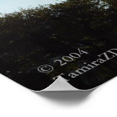 メイ岬ライトハウス ポスター (角)