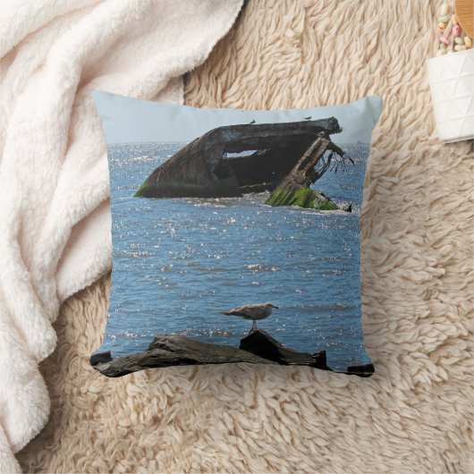 メイ岬 クッション (ブランケット)