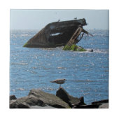 メイ岬 タイル (正面)