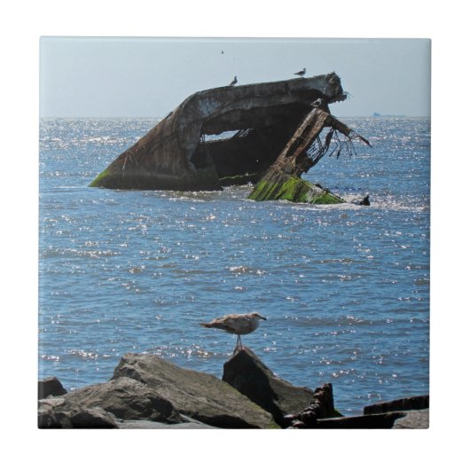 メイ岬 タイル (正面)