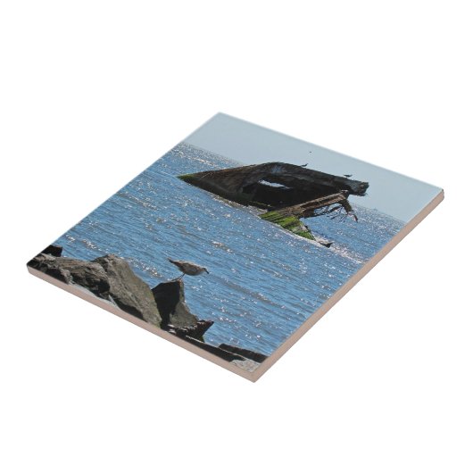 メイ岬 タイル (側面)