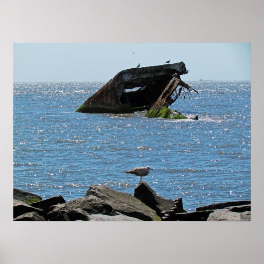 メイ岬 ポスター (正面)