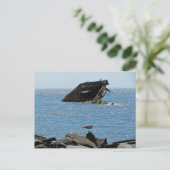 メイ岬 ポストカード (スタンド正面)