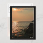 メイ岬 ポストカード (正面/裏面)