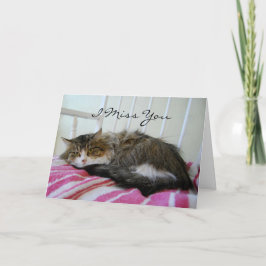メイ恋しく思ンクーン猫カード カード