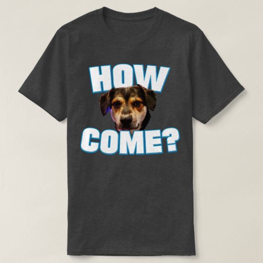 メイ来ー Tシャツ (デザイン正面)