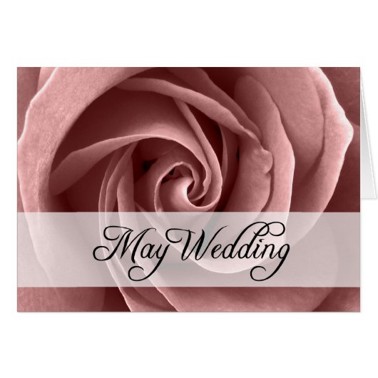 メイ結婚ズ：季節バラ: (正面横)