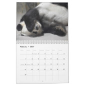 メイ翔と天天2022カレンダー カレンダー (2月 2027)