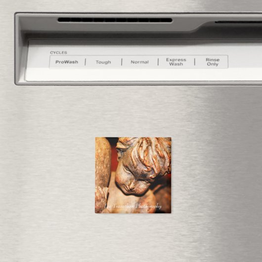 メイ・エンジェルは磁石を守る マグネット (インサイチュ (食洗機))