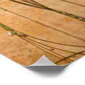 メイ・クイーン – マーガレット・マクドナルド・マキントッシュ ポスター (角)