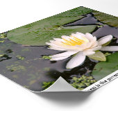 メイ・サルトンとのローンリリポスター引用文 ポスター (角)