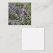 メイ・ビー ノートカード (正面/裏面)