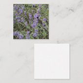 メイ・ビー ノートカード (正面/裏面)