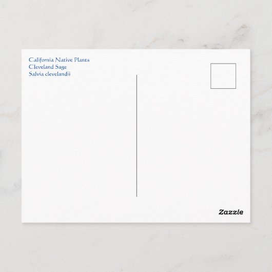 メイ・ビー ポストカード (裏面)