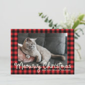 メウおもしろいイアンドブイトホリデイ |写真のあいさつ文 シーズンカード (スタンド正面)