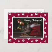 メウイクリスマス！かわいい白い足の跡が猫の写真に シーズンポストカード (正面/裏面)