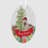 メウイ·クリスマス·ラグドール猫 オーナメント (正面)