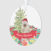 メウイ·クリスマス·ラグドール猫 オーナメント (正面)