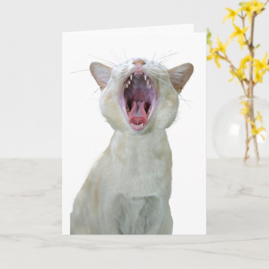 メウシシャンの誕生日カード カード (黄色い花)