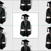 メエルカート卒業証書 ファブリック (タイル)