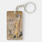 メエルカート（スリカタ・スリカッタ）センチネル，カラス キーホルダー (裏面)