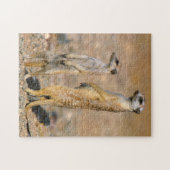 メエルカート（スリカタ・スリカッタ）センチネル，カラス ジグソーパズル (横)