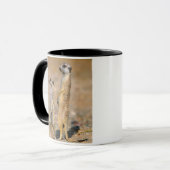 メエルカート（スリカタ・スリカッタ）センチネル，カラス マグカップ (正面左)