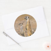 メエルカート(スリカタ・スリカッタ)センチネル,カラス ラウンドシール (封筒)