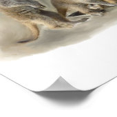 メエルカ ポスター (角)